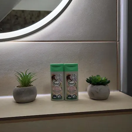 Näher Messe Und Flughafen 3 Apartment Düsseldorf